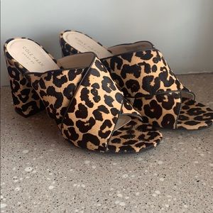 Cole Haan Leopard Block Heel! Never worn! Sz 8.5